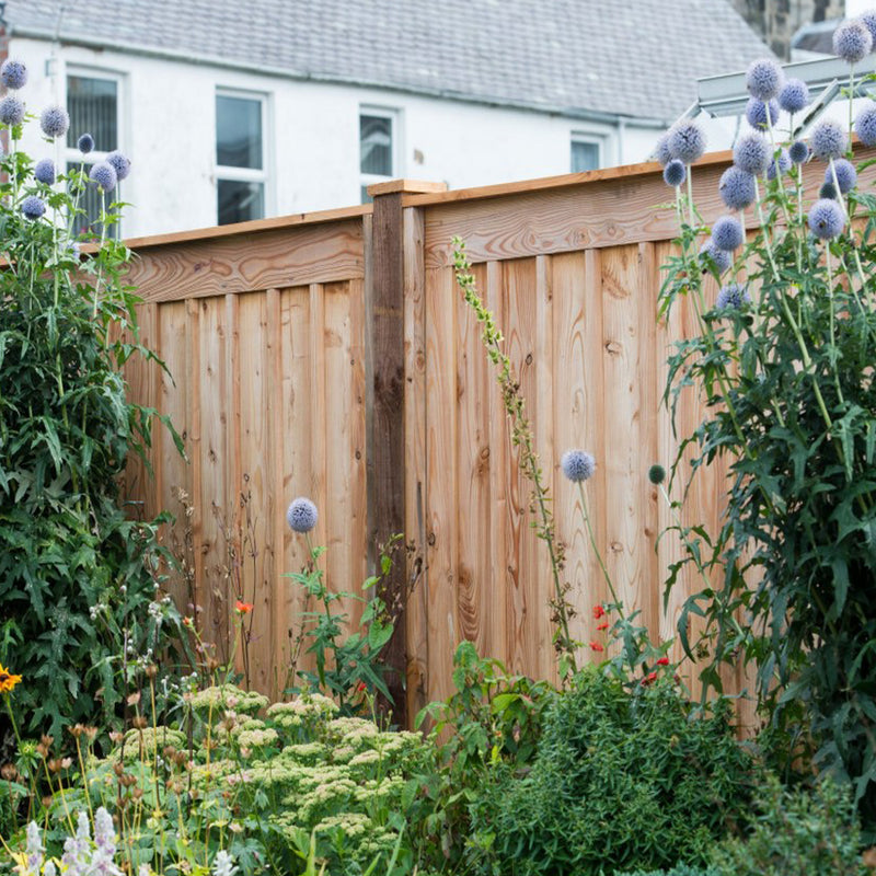 Garden Fence 