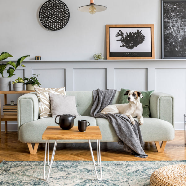 Transforming Your Living Room on a Budget