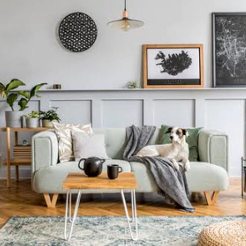 Money Saving Tips for Styling your Living Room